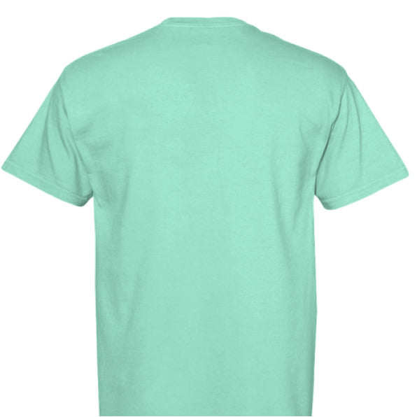 ISLAND REEF - BACK