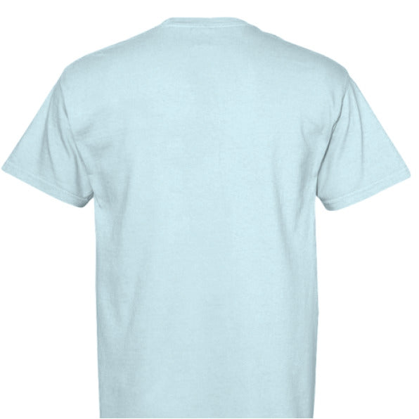 CHAMBRAY - BACK