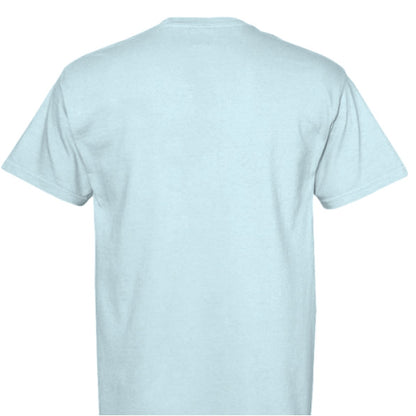 CHAMBRAY - BACK