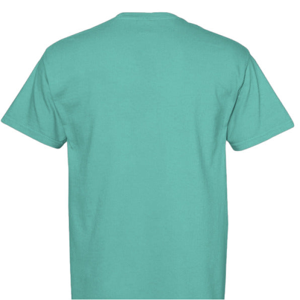ISLAND REEF - BACK