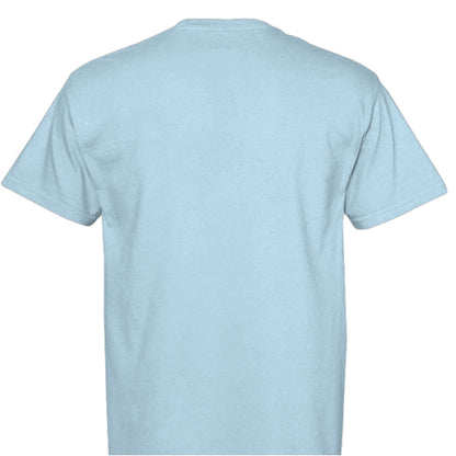 CHAMBRAY - BACK