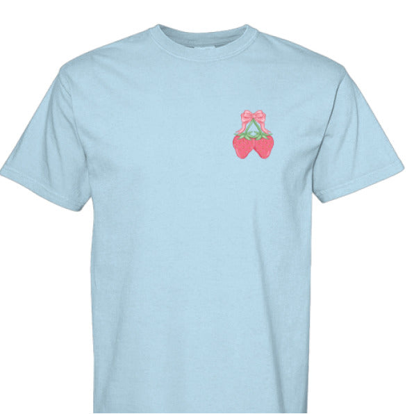 CHAMBRAY - FRONT